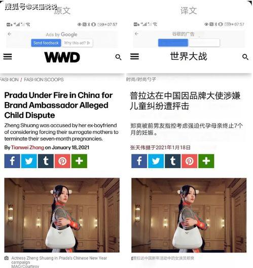 呼市吃瓜最新事件爆料新闻,揭秘最新爆料背后的真相与争议”